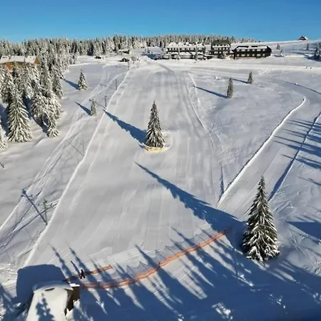 Apartman Ve Spindlu Apartment Spindleruv Mlyn